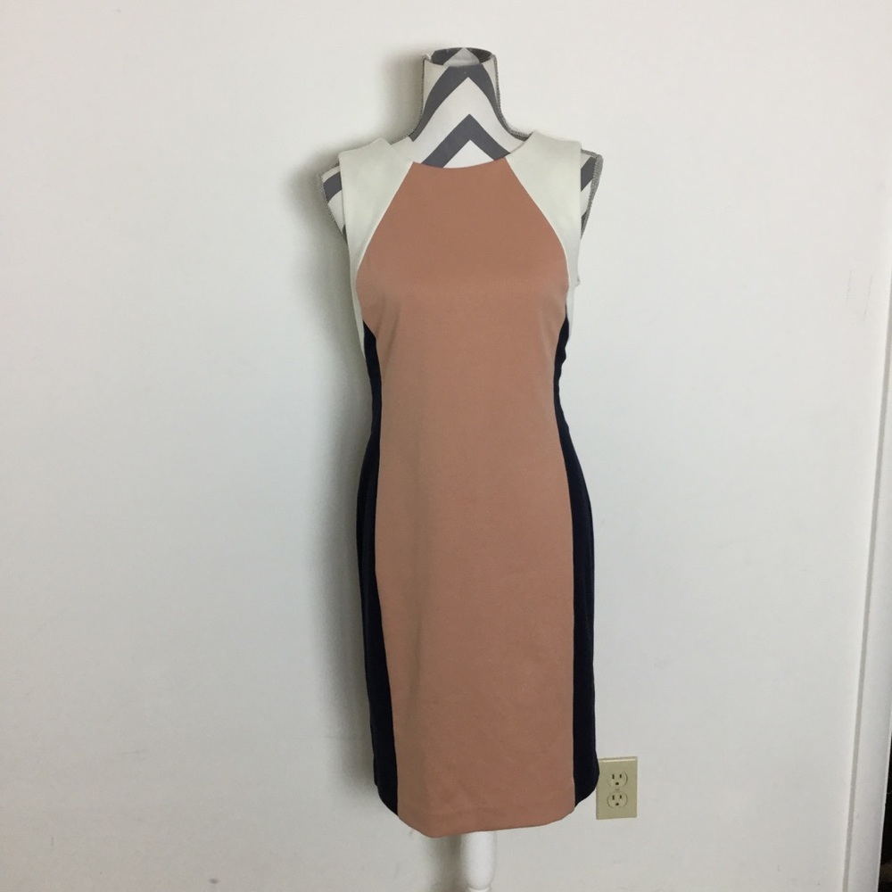 Anne Taylor Dress